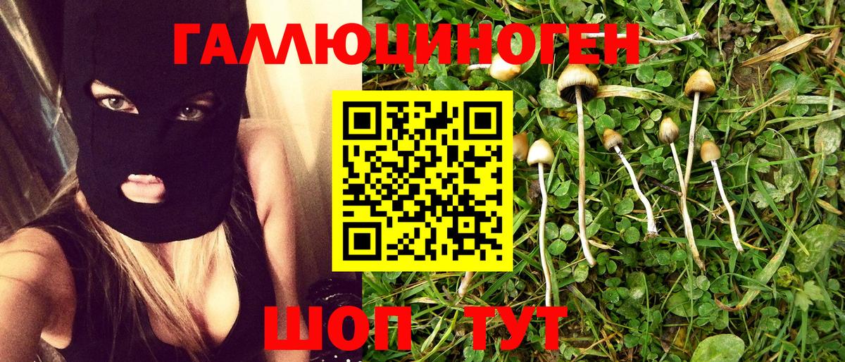 Псилоцибиновые грибы мухоморы  Галлюциногенные грибы прущие грибы  Вход с VPN  Луховицы 
